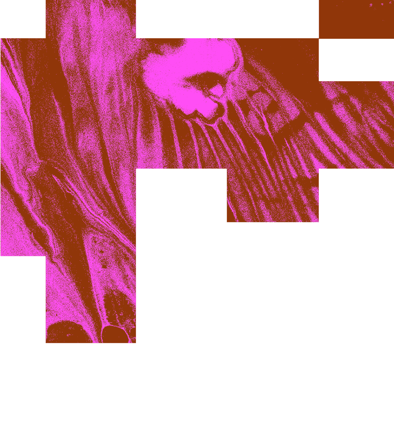 Mapa de diseño público en América Latina